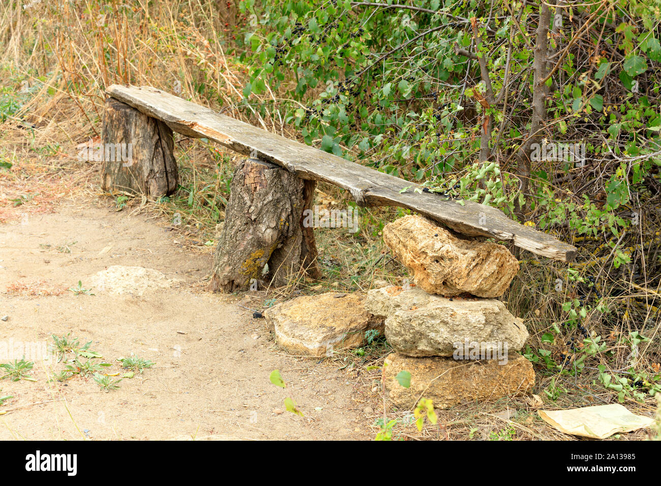 A very old wooden bench, green bushes, trees, dry grass, in the Ukrainian rock garden. Stock Photo
