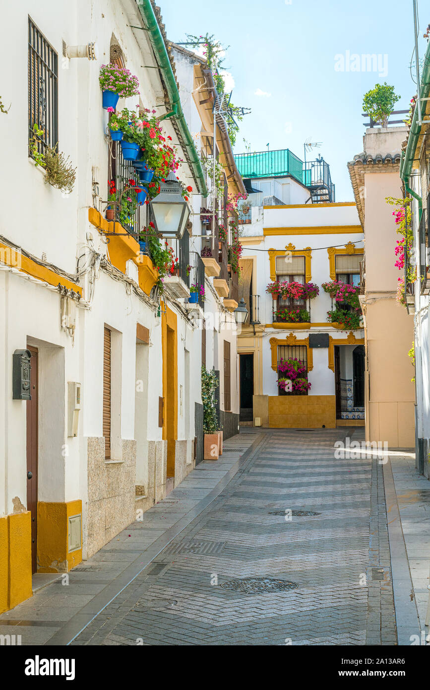 Scenic sight in the picturesque Cordoba jewish quarter. Andalusia, Spain. Stock Photo