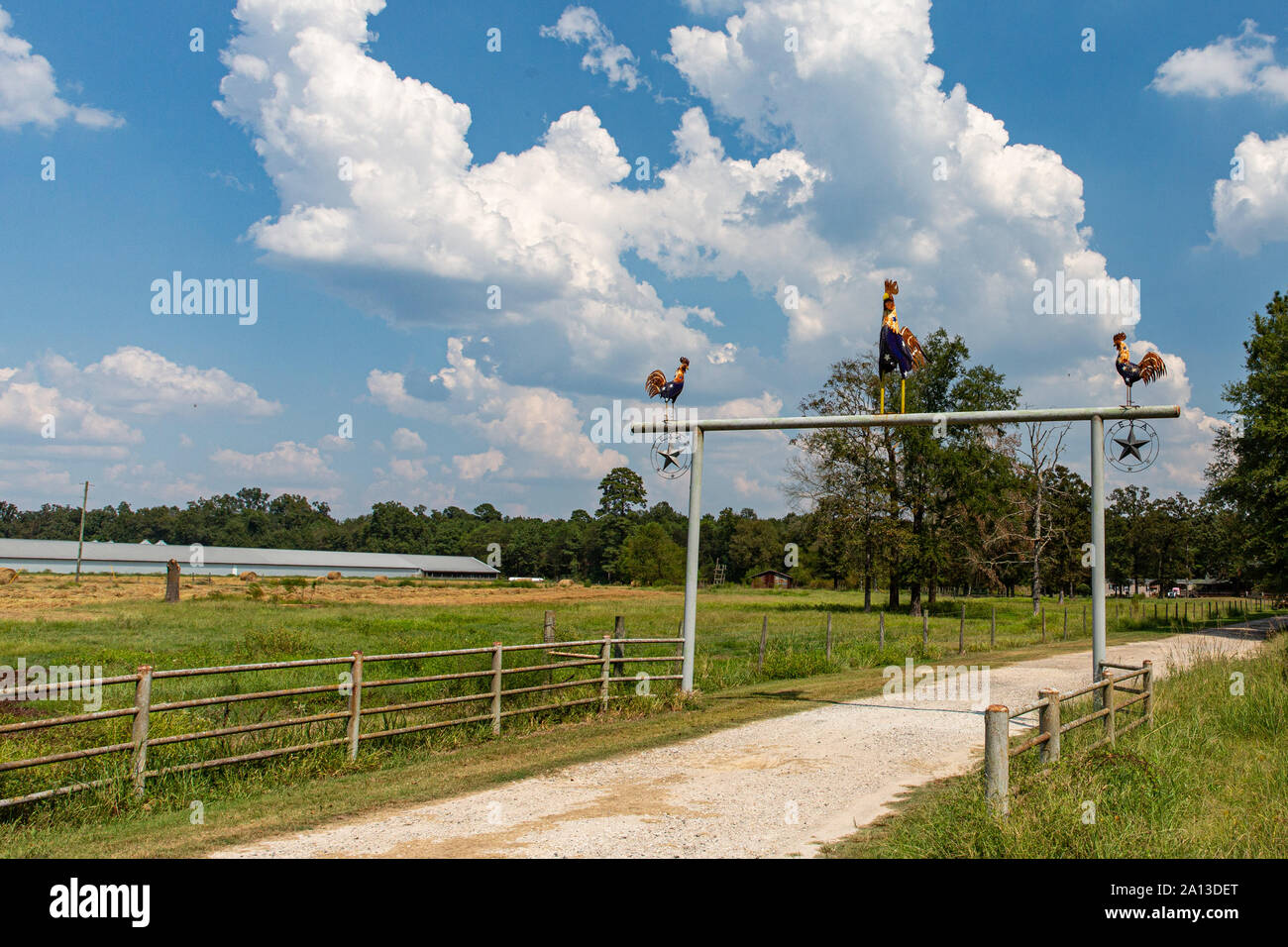 Roosters on a gate leading to a chicken farm in east Texas. Stock Photo