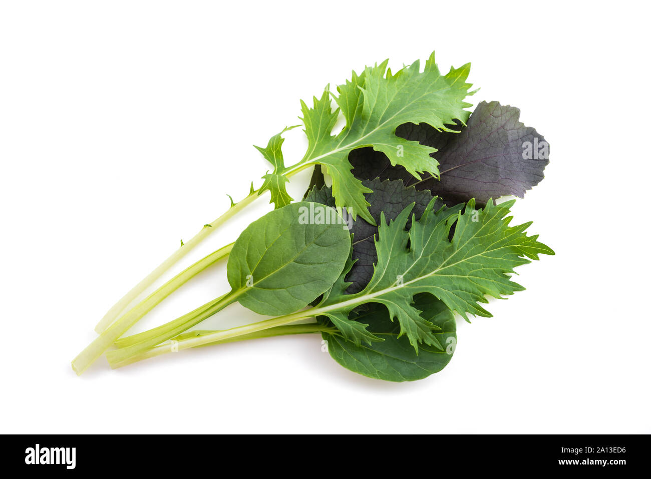 Asian salad mix isolated on white background Stock Photo