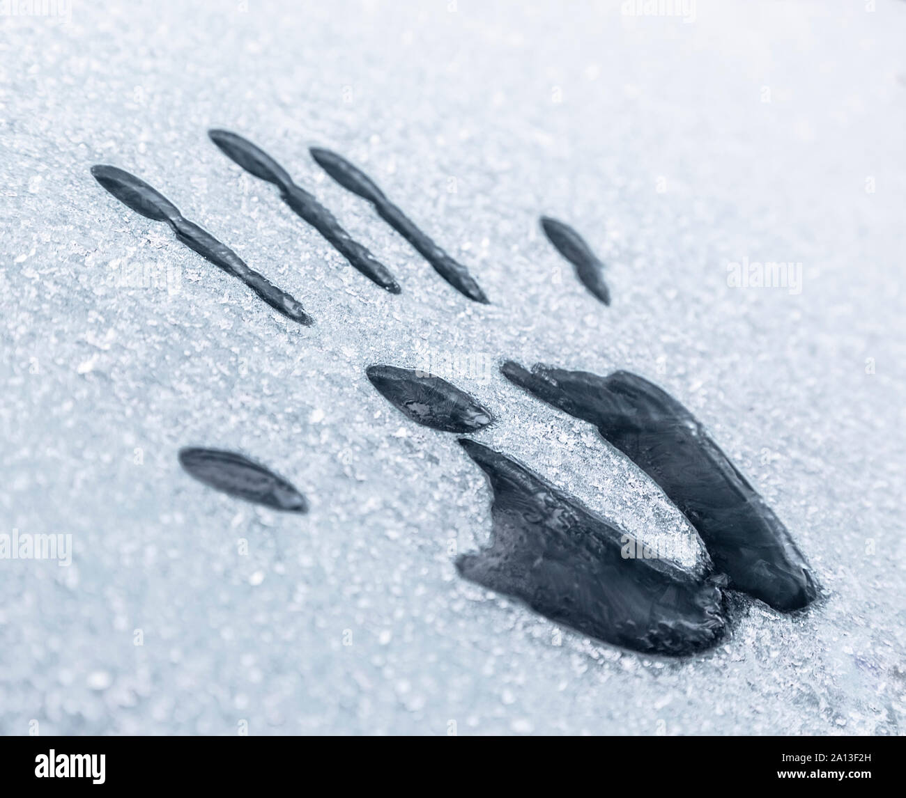Handprint on the icy window Stock Photo