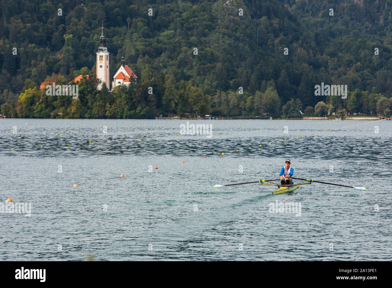 Rowing competition on Bled lake Stock Photo Alamy
