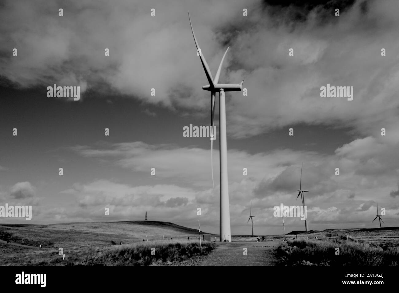 Whitelee Wind Farm, Scotland Stock Photo