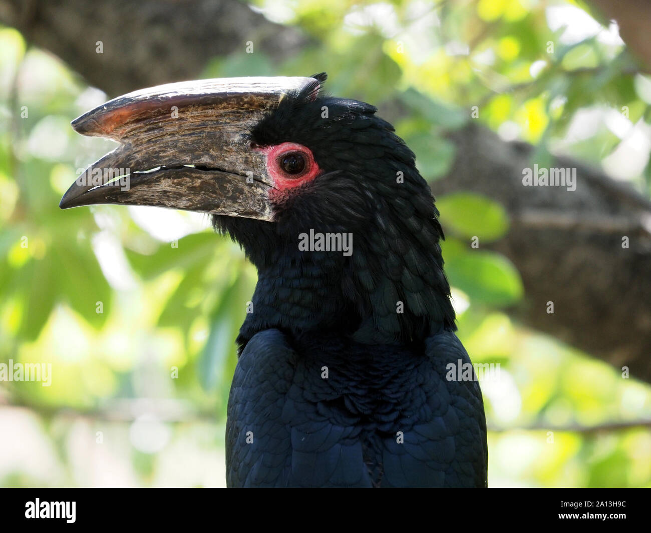 Casque hi-res stock photography and images - Page 3 - Alamy