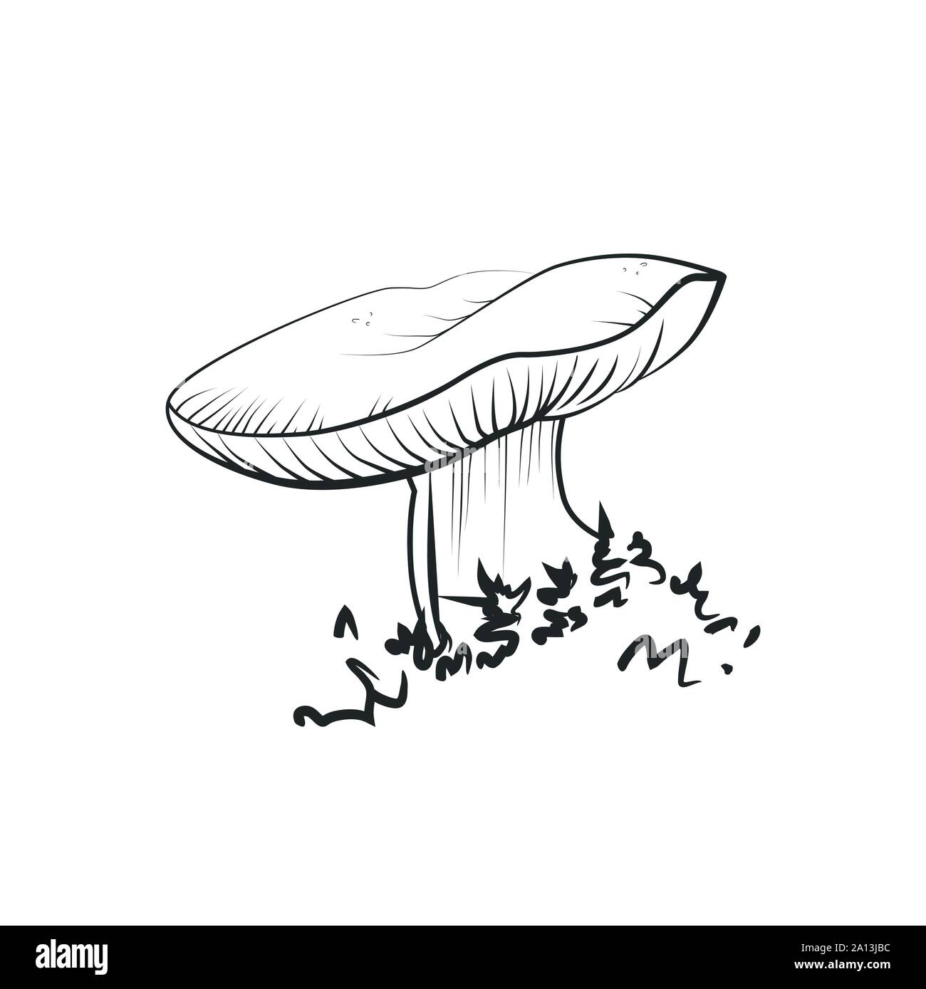 Mushroom illustration, vector. Russule, russulacea mushroom drawing Stock Vector