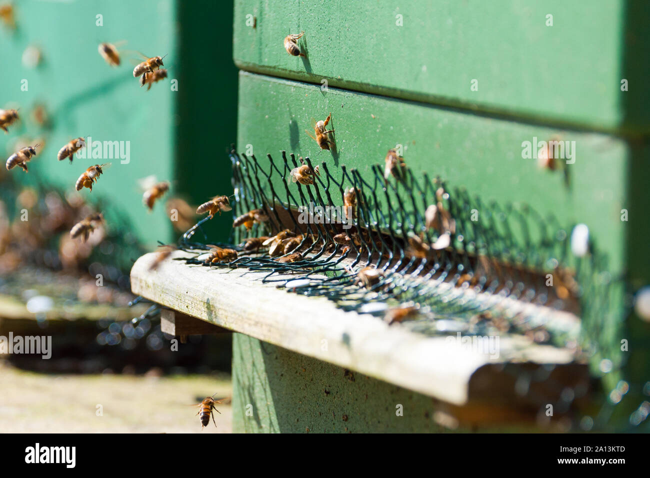 Beehive apiary hi-res stock photography and images - Alamy