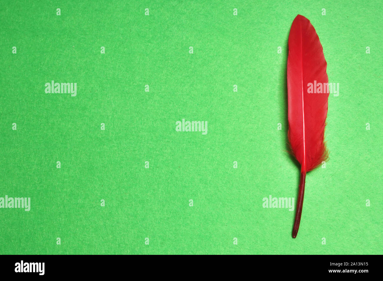 Colorful feather caribbean carnival hi-res stock photography and images