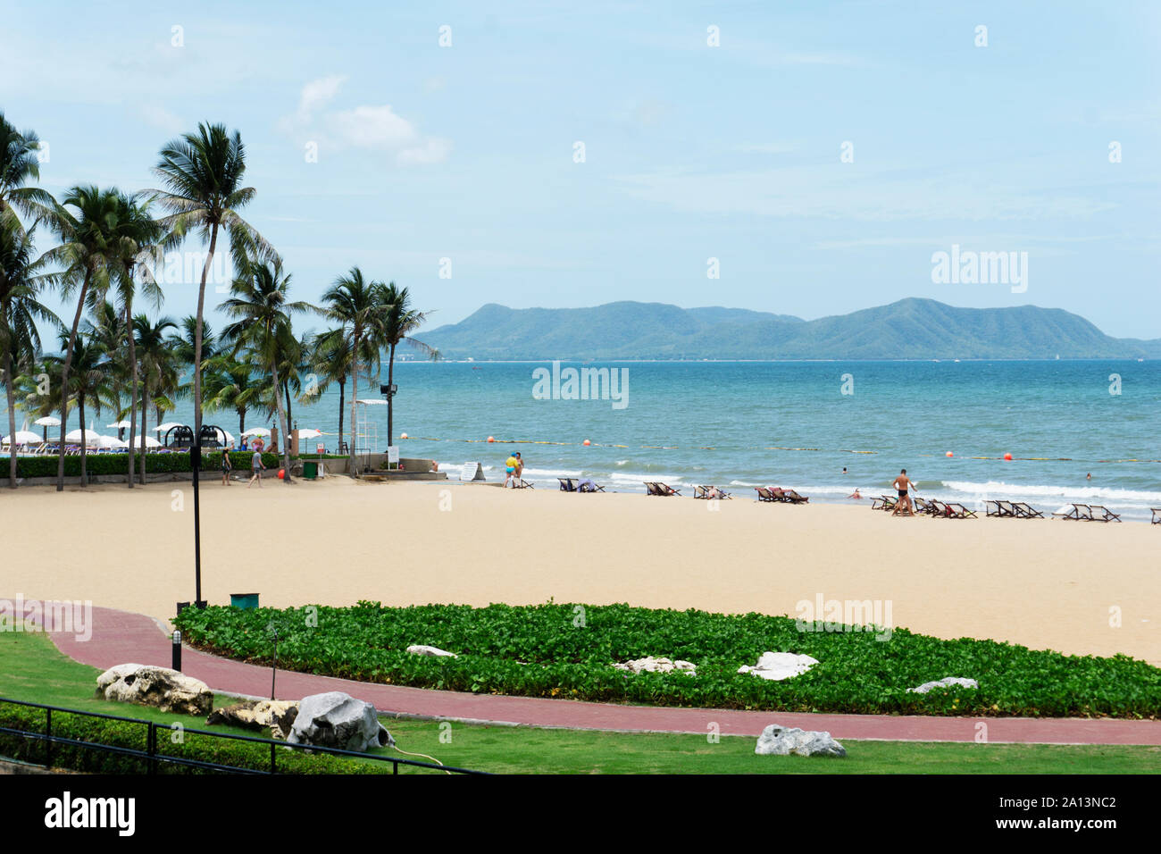 Palm trees by the beach with clear blue sky and ocean view Stock Photo ...