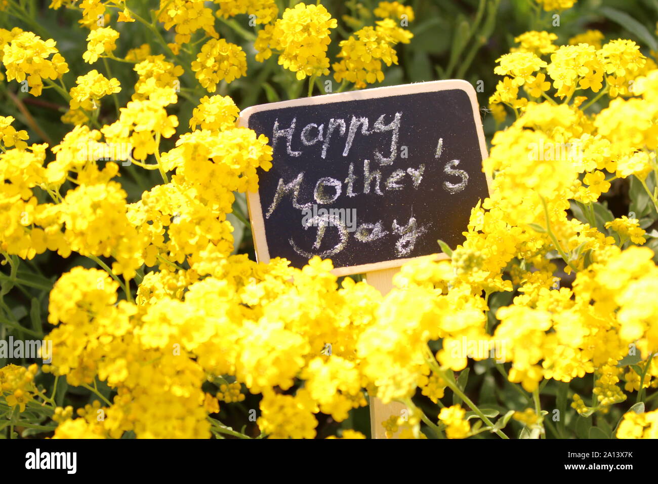The picture shows happy mothers day greeting with flowers Stock Photo ...