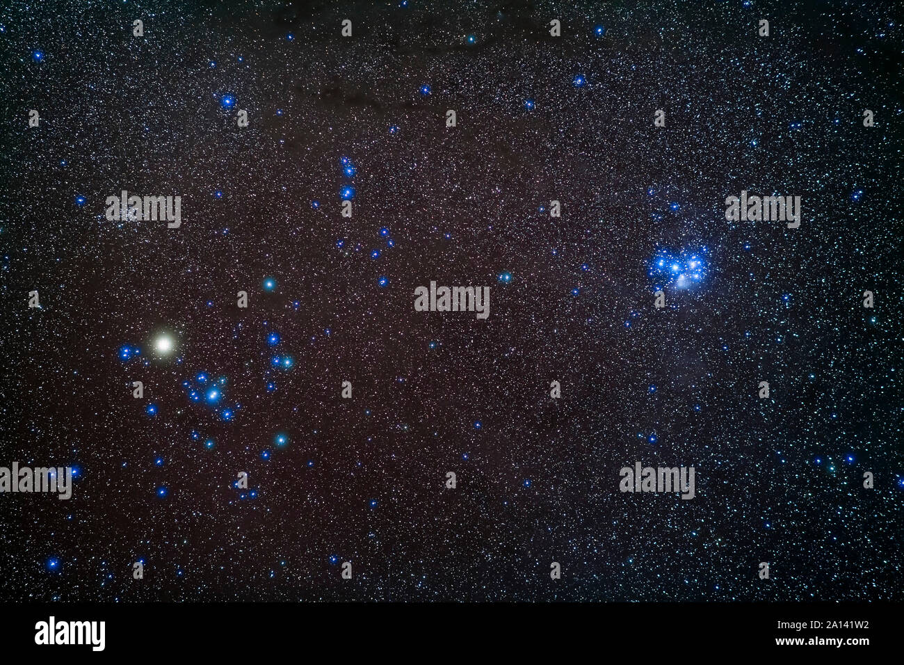thumbnail image 2 of The Pleiades Star Cluster In Taurus Constellation 2 of 14