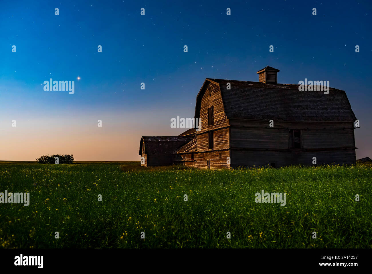 Planet Mars shining over an old barn amid a field of canola. Stock Photo