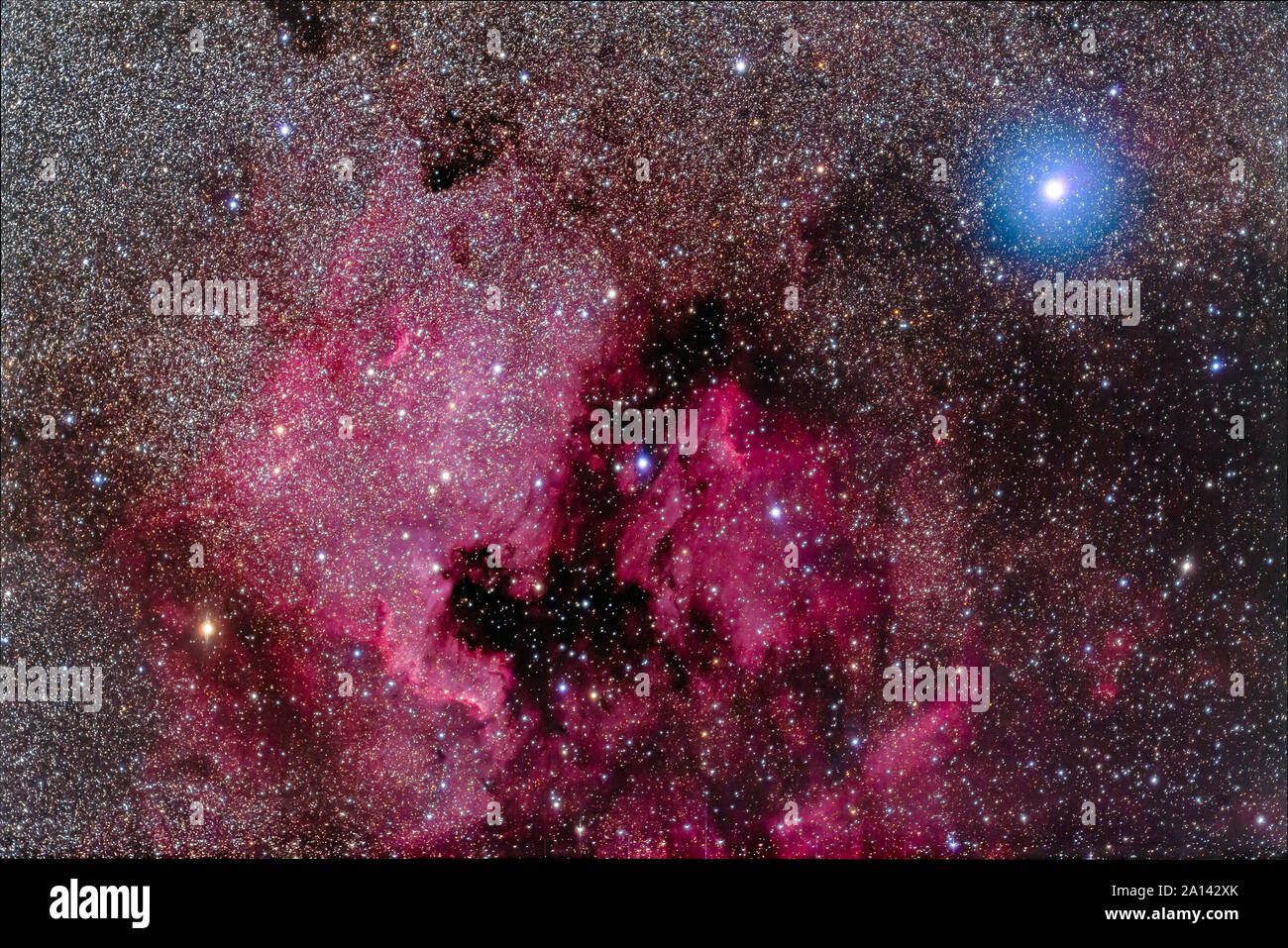 The North America Nebula near teh bright blue-white star Deneb. Stock Photo