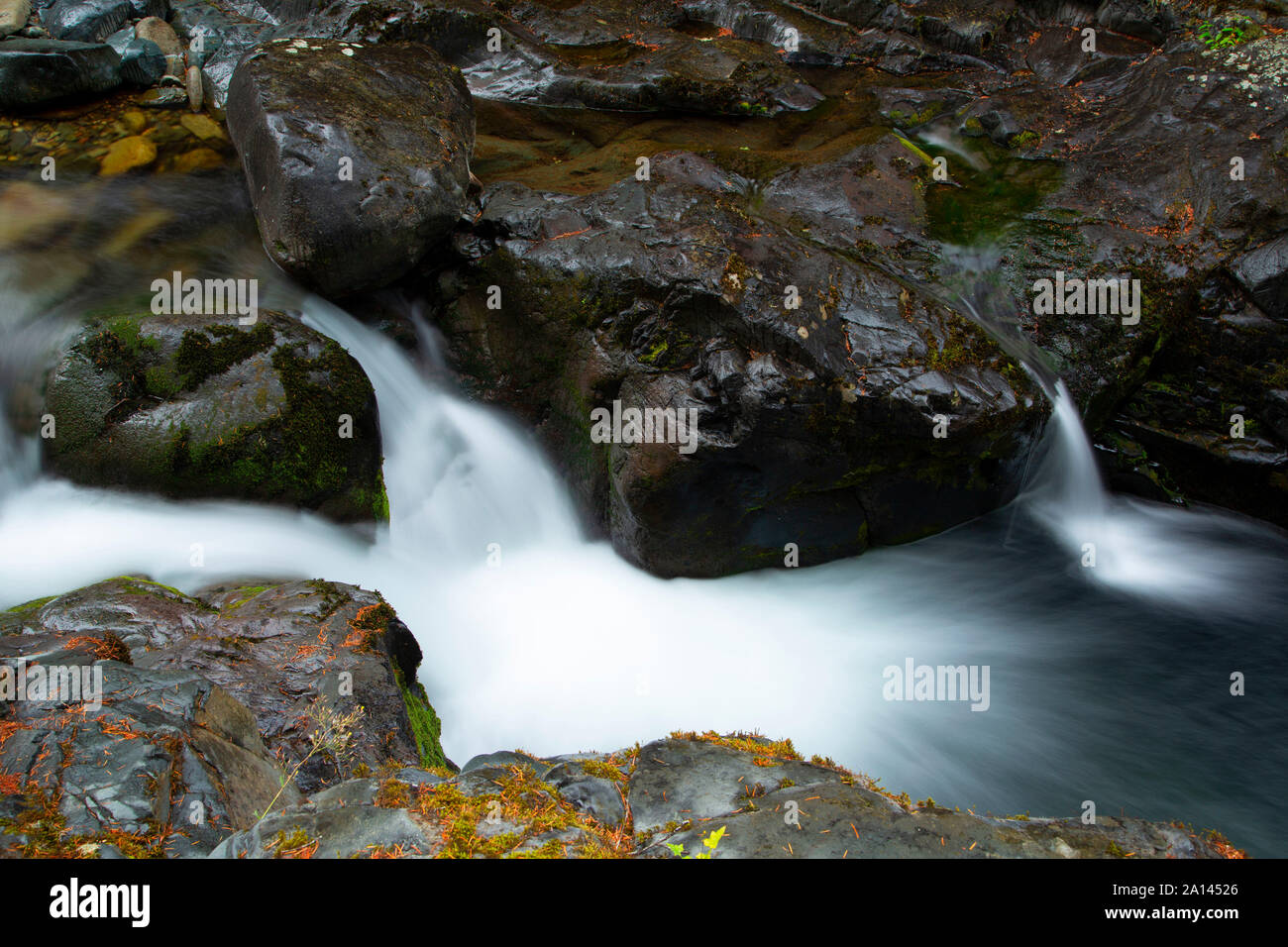 Brice Creek along Brice Creek Trail, Umpqua National Forest, Oregon Stock Photo