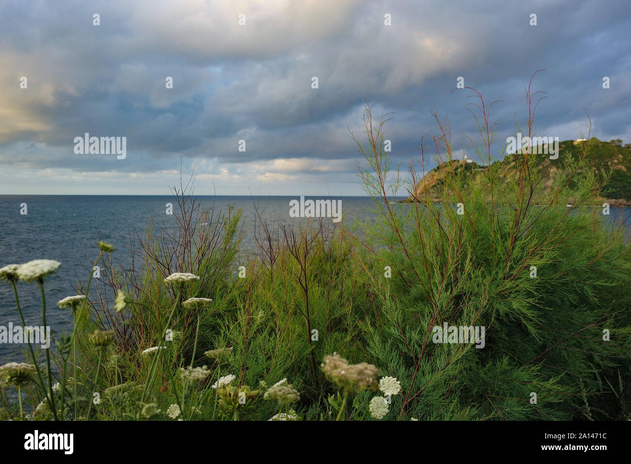 Basque water feature hi-res stock photography and images - Alamy