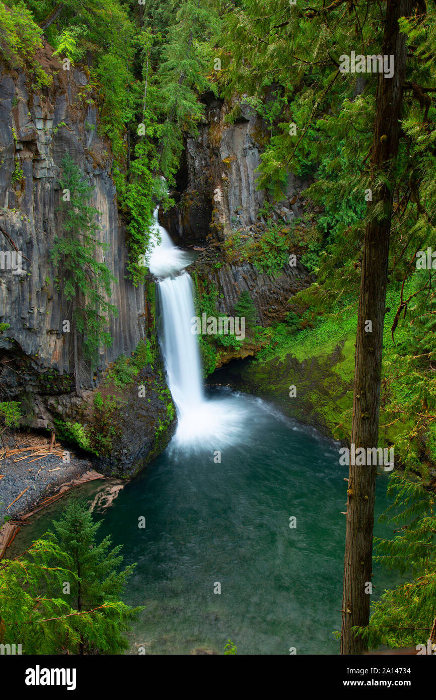 Toketee Falls, Umpqua National Forest, Rogue-Umpqua National Scenic Byway, Oregon Stock Photo