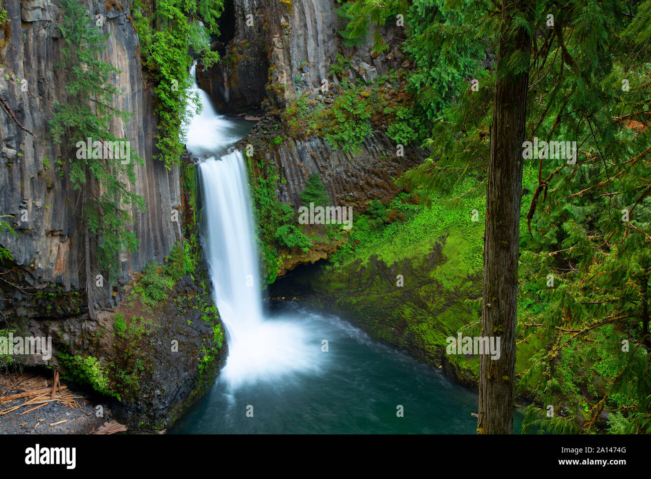 Toketee Falls, Umpqua National Forest, Rogue-Umpqua National Scenic Byway, Oregon Stock Photo