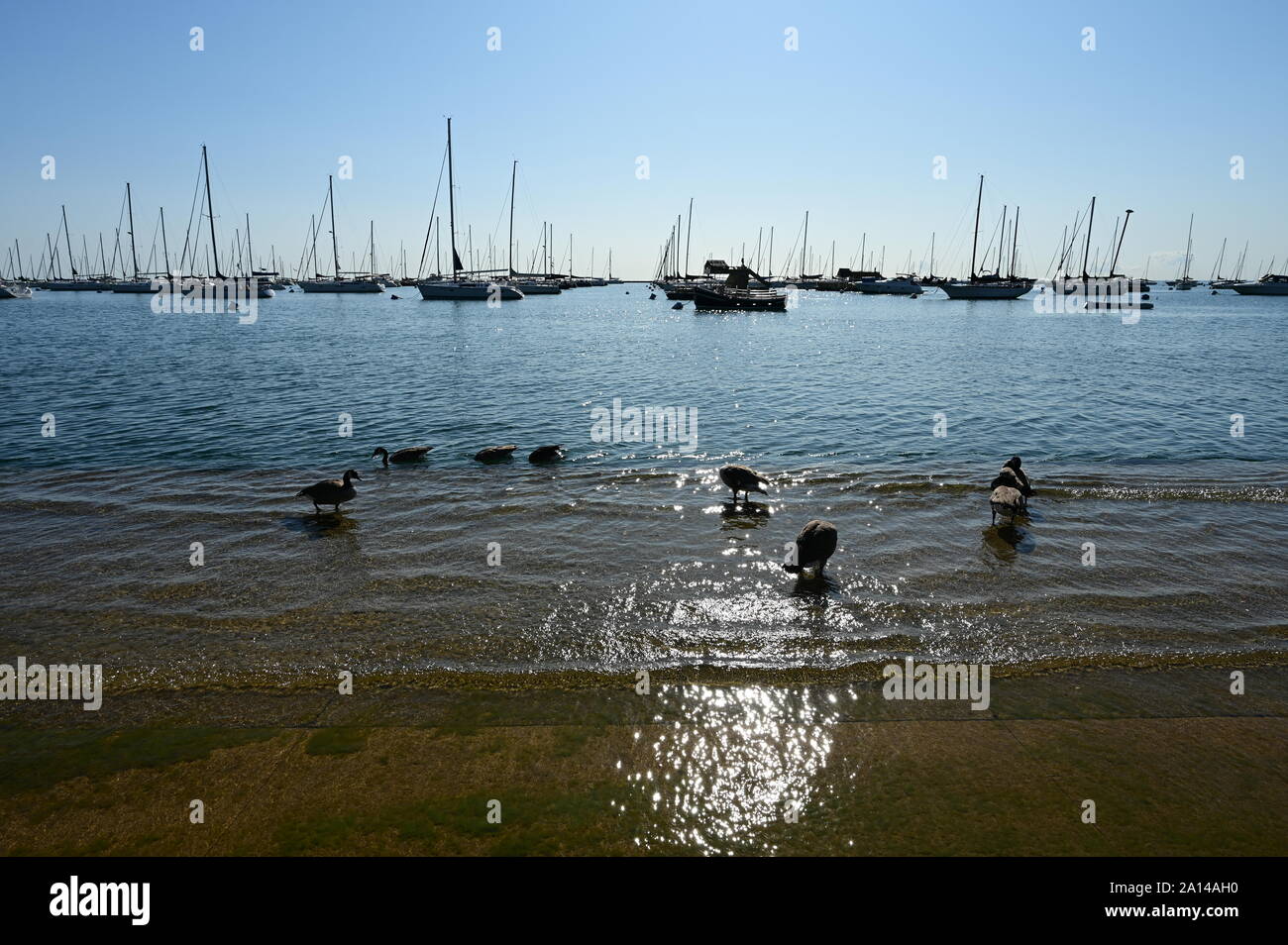 Monroe Harbor High Resolution Stock Photography And Images Alamy
