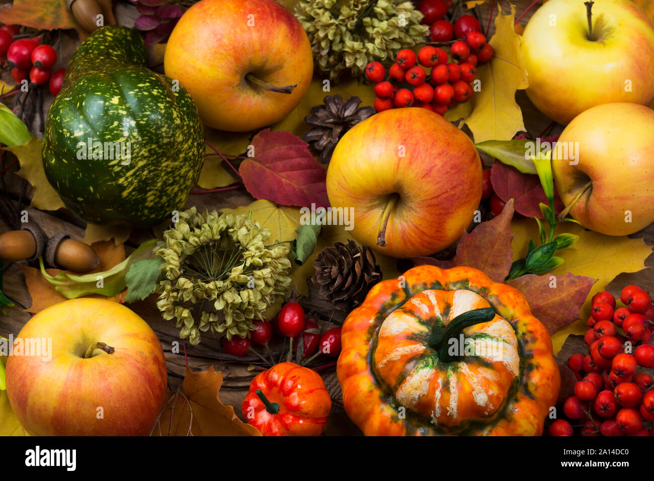Thanksgiving rustic background with pumpkin, apple, rowan berries and ...