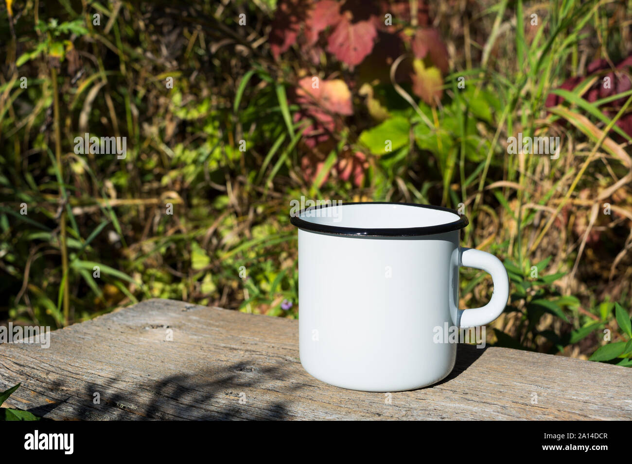 Download White Campfire Enamel Coffee Mug Mockup With Sun Beams And Grass Empty Mug Mock Up For Design Promotion Stock Photo Alamy