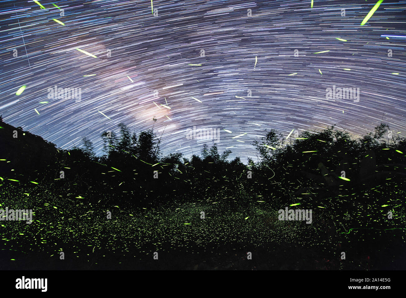 Star and firefly trails at Fujian Tulou in China. Stock Photo
