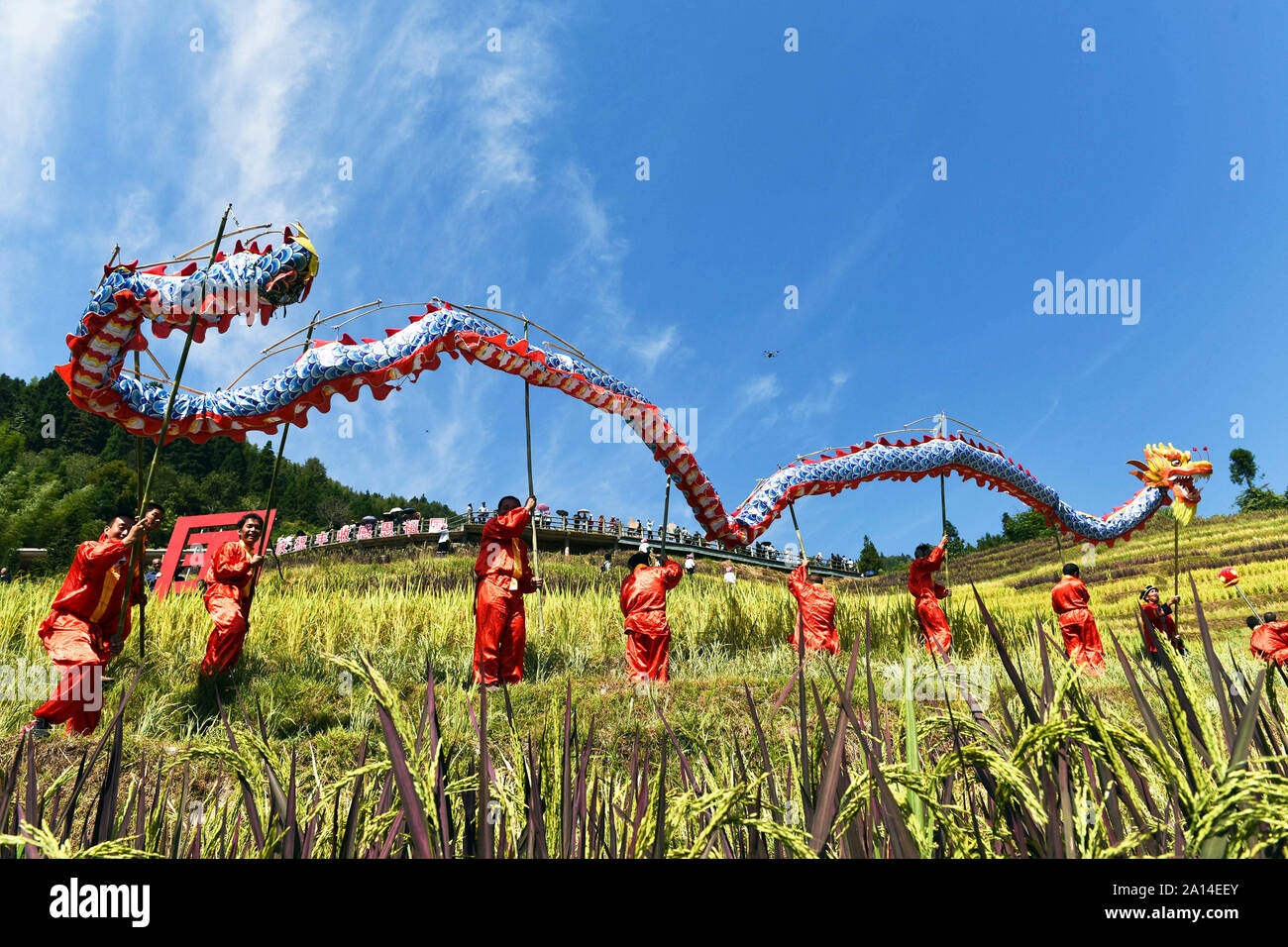 (190924) -- BEIJING, Sept. 24, 2019 (Xinhua) -- Villagers perform dragon dance during an activity to celebrate the Chinese farmers' harvest festival in Longsheng Multinational Autonomous County, south China's Guangxi Zhuang Autonomous Region, Sept. 23, 2019. Farmers across the country celebrate the Chinese farmers' harvest festival, which falls on the Autumn Equinox, or Sept. 23 this year. (Photo by Wu Shengbin/Xinhua) Stock Photo