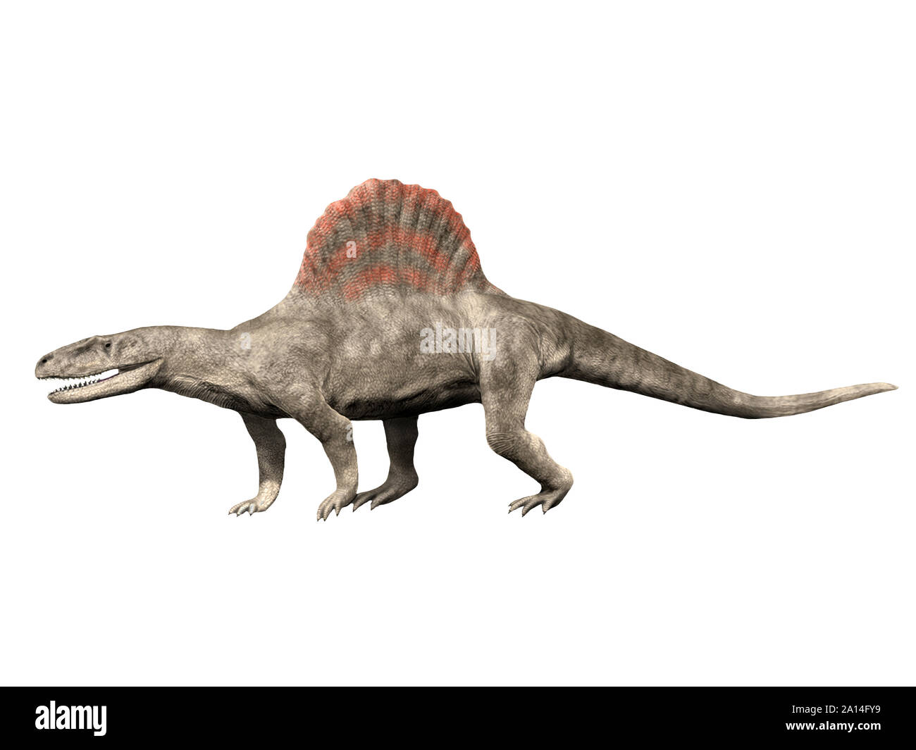 Arizonasaurus babbiti dinosaur, white background. Stock Photo
