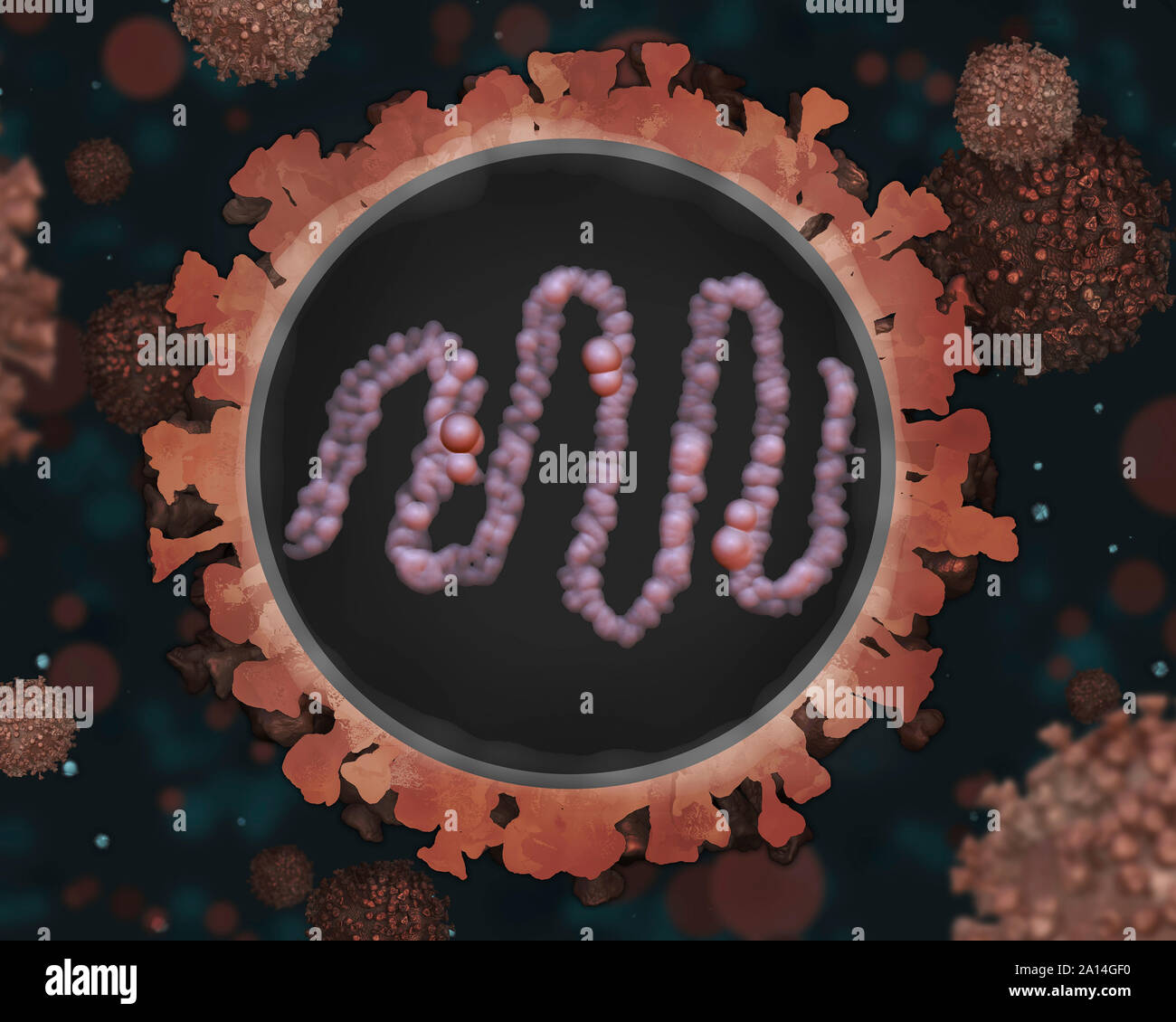 Medical illustration of measles virus in an environment. Stock Photo