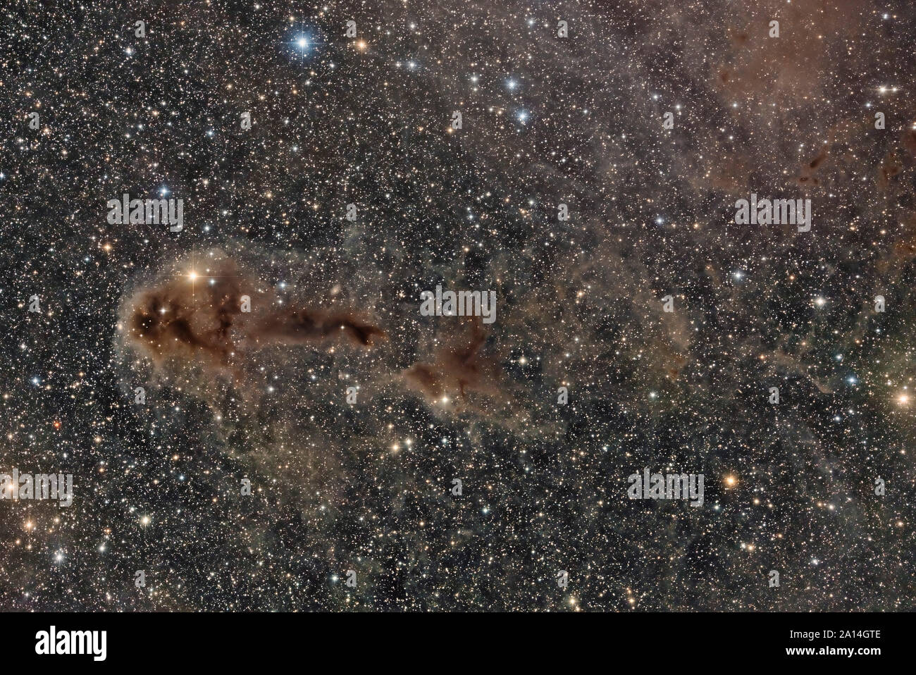 Dark Nebula LDN 1250. Stock Photo