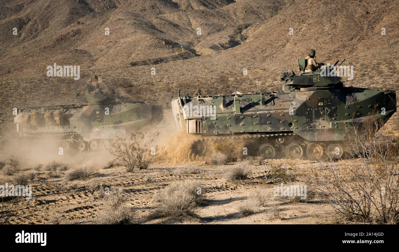 Amphibious Assault Vehicle operators conduct a live-fire exercise Stock ...
