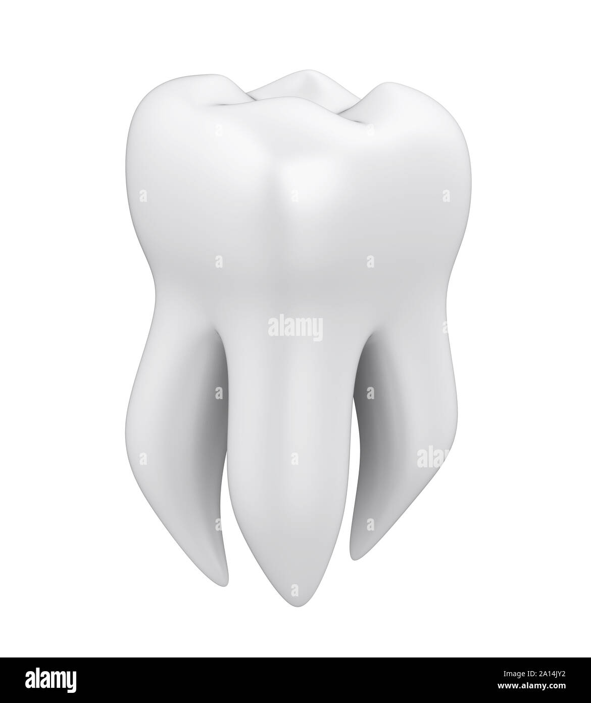 Molar Tooth Isolated Stock Photo Alamy