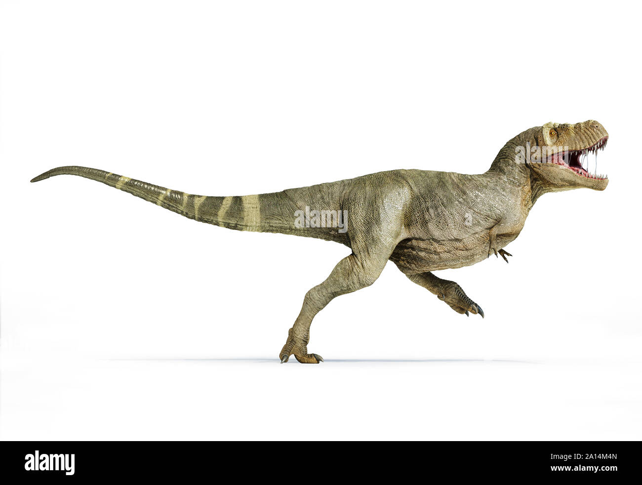 T-Rex dinosaur running in environment with some plants. 3D realistic  illustration Stock Photo - Alamy