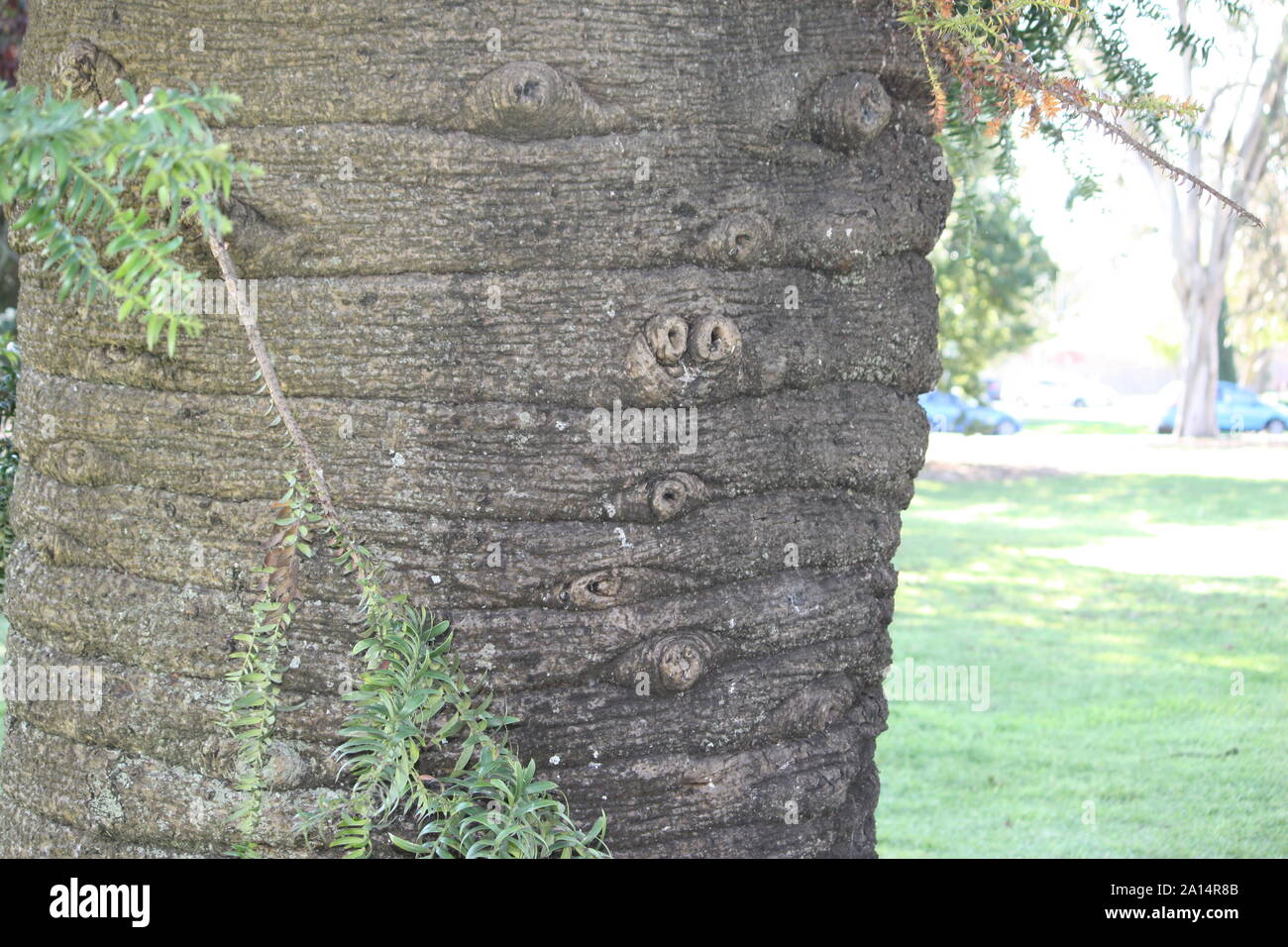 These are from 14/09/2019's photo shoot of Melbourne and surrounding