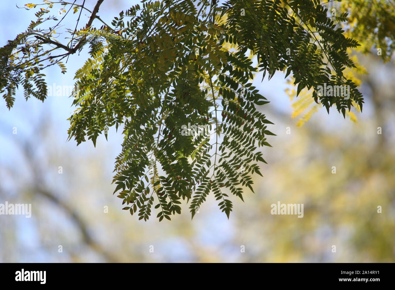 These are from 14/09/2019's photo shoot of Melbourne and surrounding