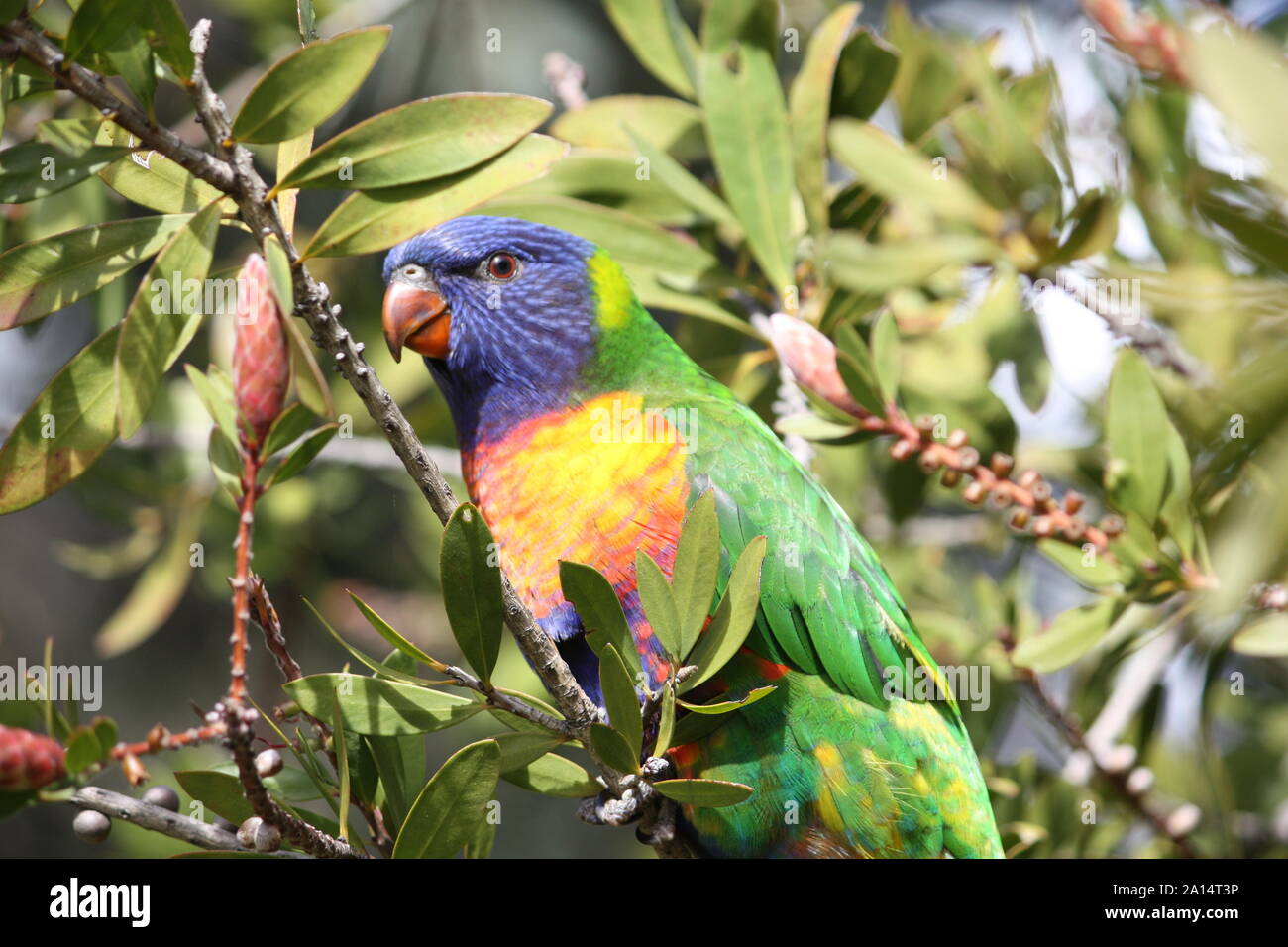 These are from 14/09/2019's photo shoot of Melbourne and surrounding