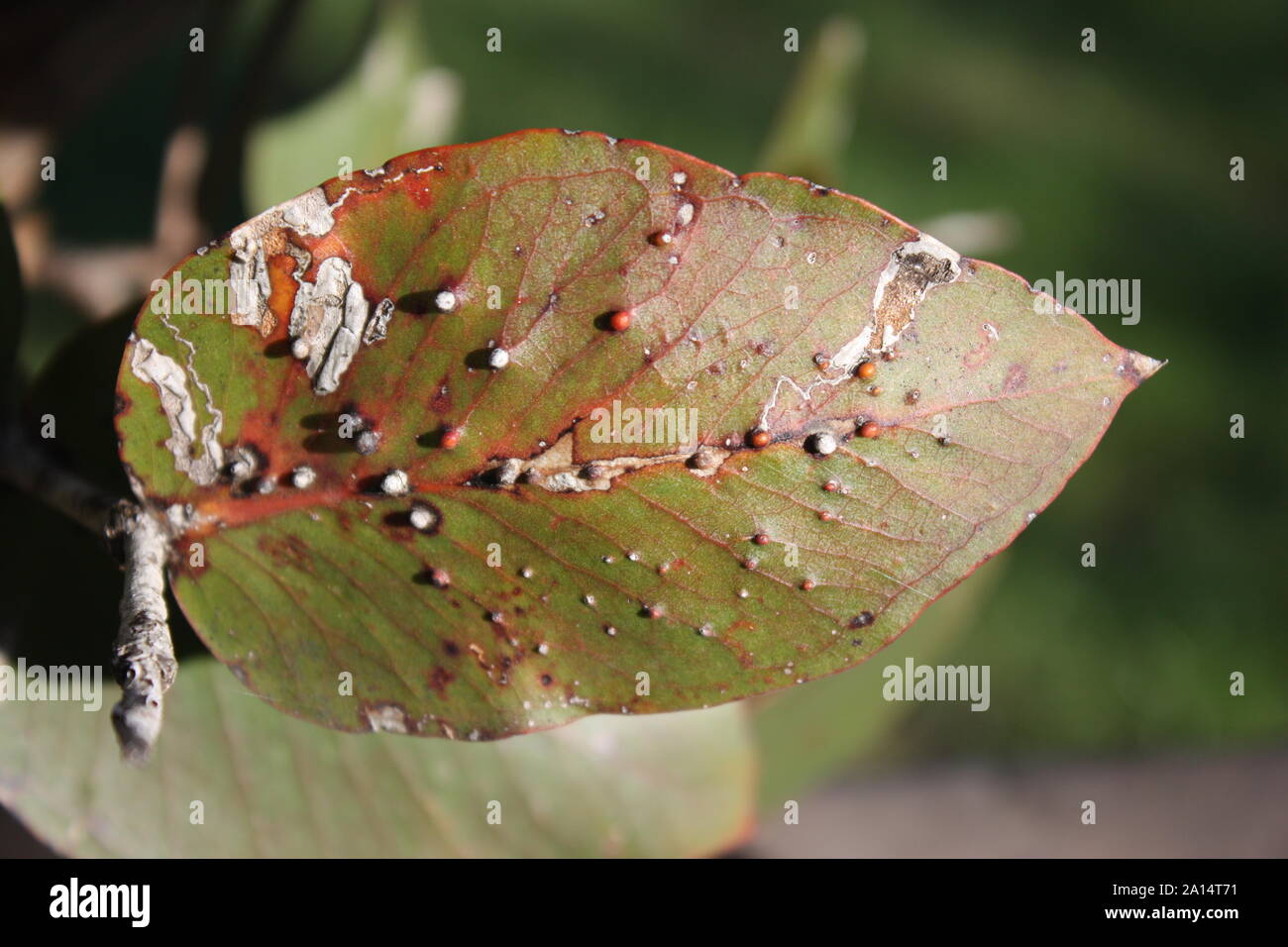 These are from 14/09/2019's photo shoot of Melbourne and surrounding