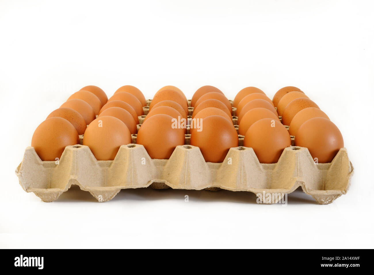 chicken eggs  in cardboard egg crate Stock Photo