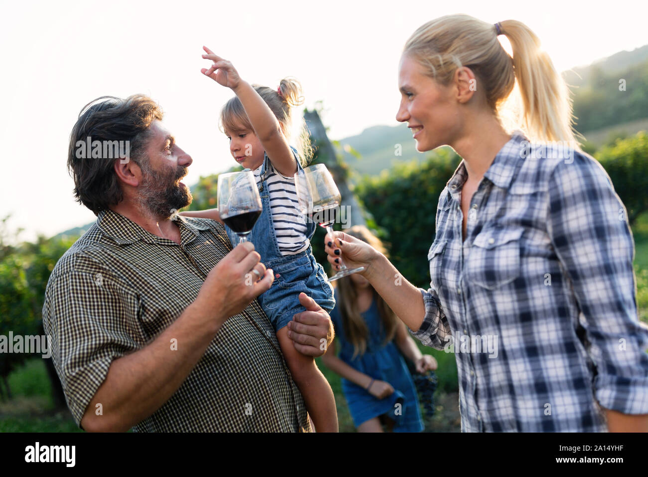 Picture of people tasting red wine in vineyard Stock Photo - Alamy