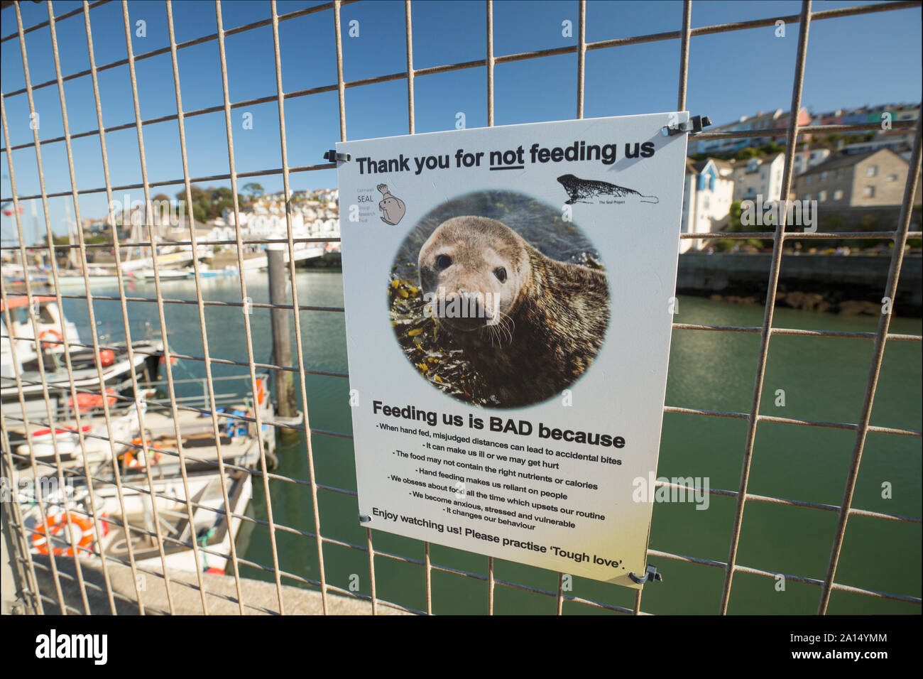 A sign requesting that people refrain from feeding seals in Brixham Harbour, Devon England UK GB. Stock Photo