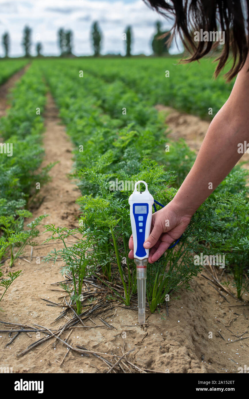Measure soil with digital device. Green plants and woman farmer measure PH and moisture in the