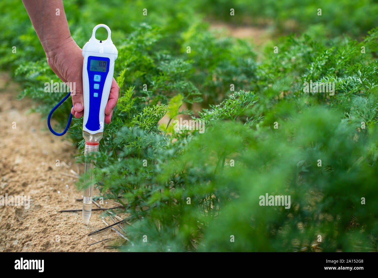 Measure soil with digital device. Green plants and woman farmer measure PH and moisture in the