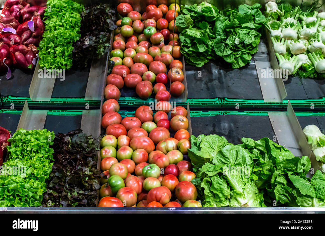 https://c8.alamy.com/comp/2A153BE/vegetables-on-shelf-in-supermarket-tomatoes-lettuce-and-fennel-2A153BE.jpg