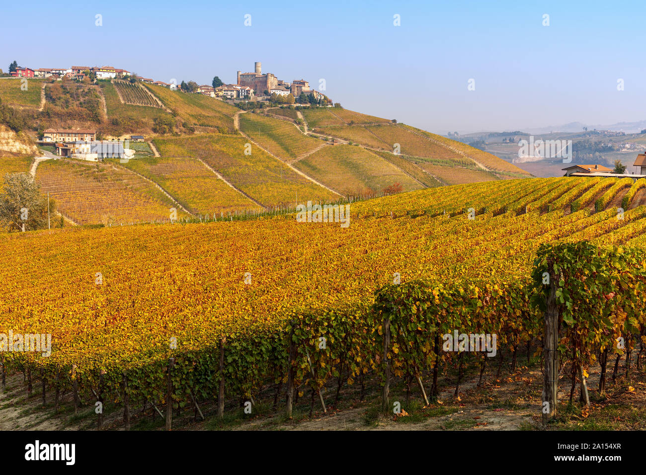 View of colorful autumnal vineyards on the hills of Langhe in Piedmont, Northern Italy. Stock Photo