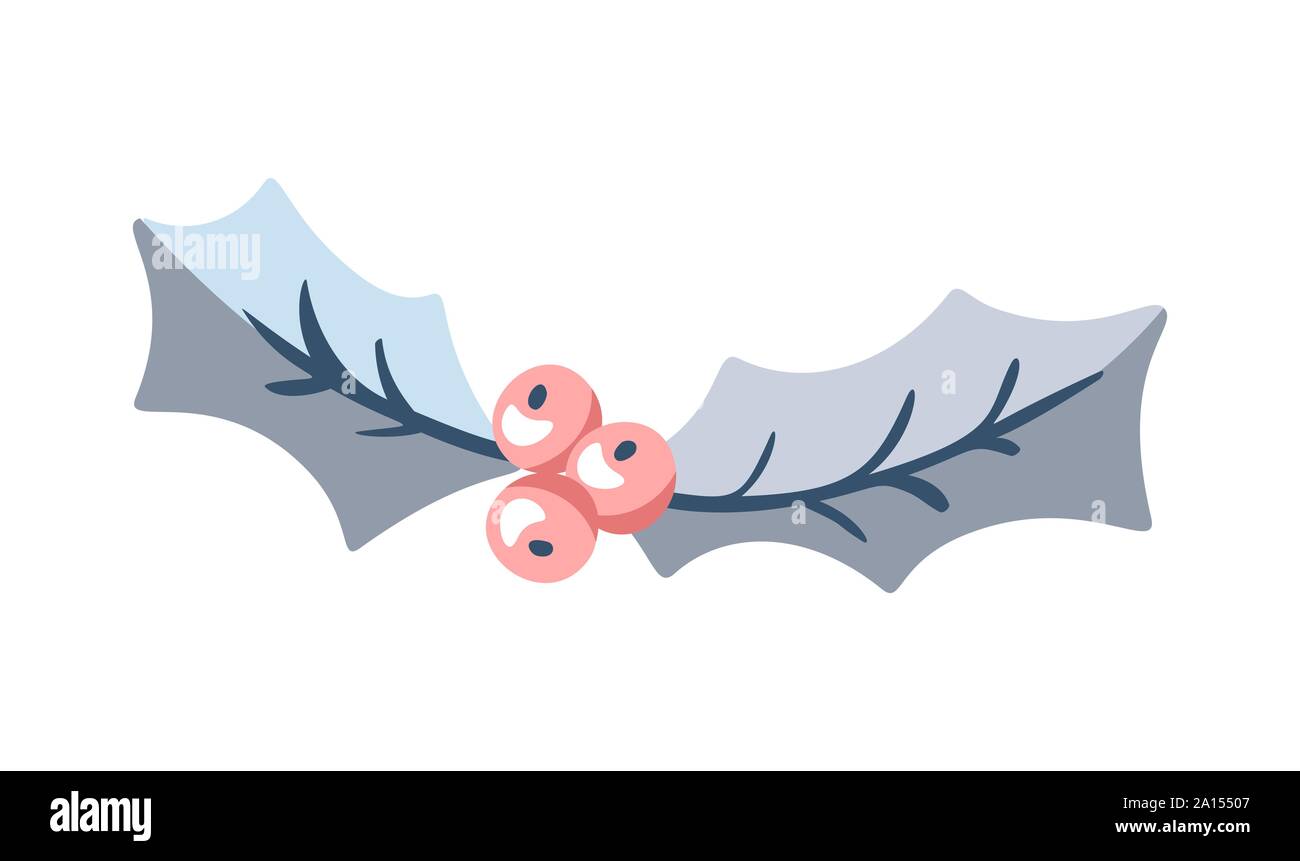 vector color drawing Christmas holly berry mistletoe a plant that grows
