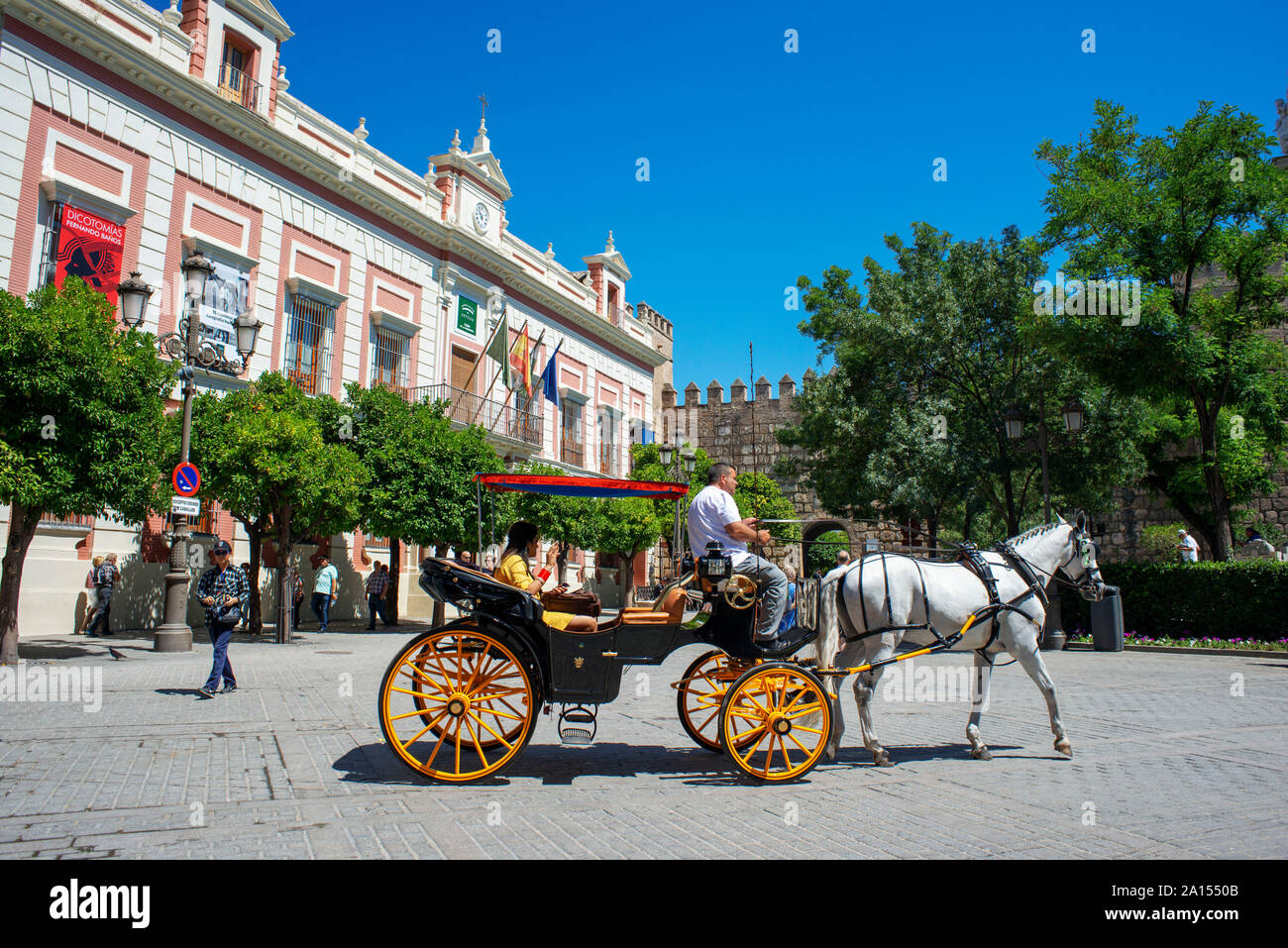 Horse drawn carriages in Plaza Virgen de los Reyes and