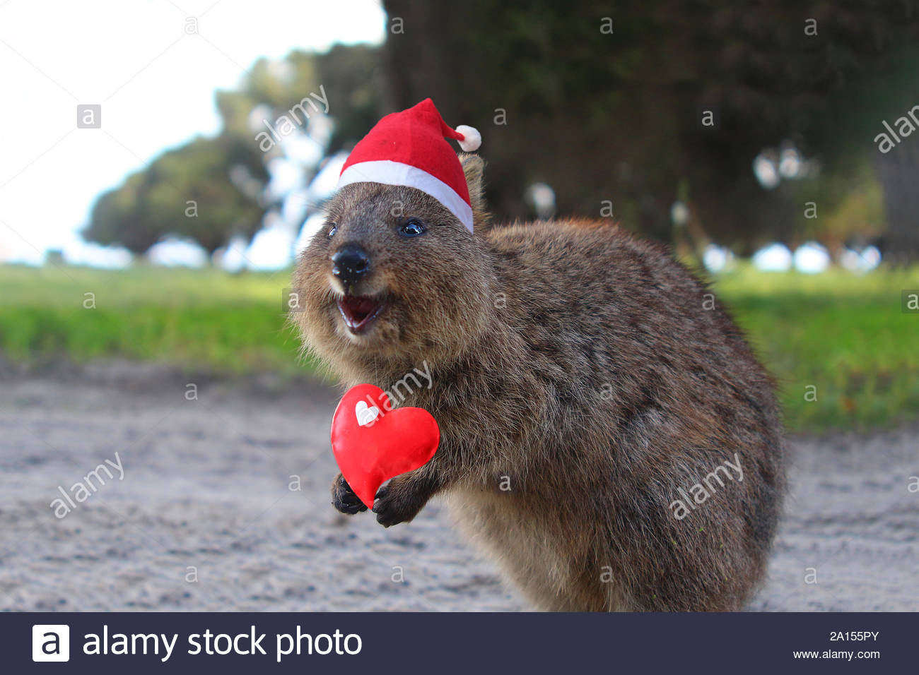 Perth Western Australia Christmas High Resolution Stock Photography and  Images - Alamy