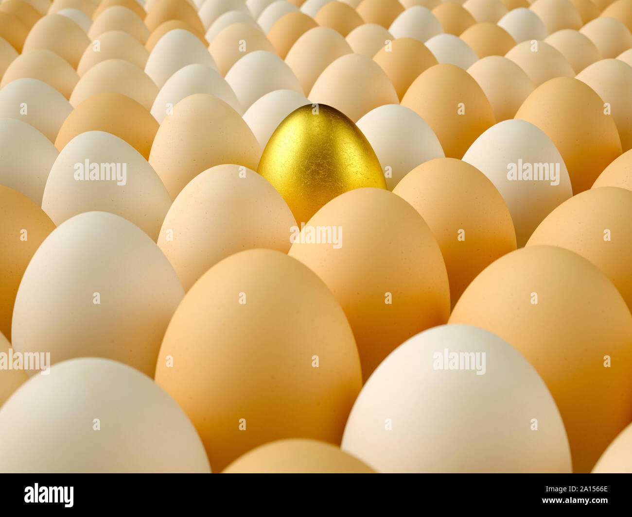 Golden egg amongst a large group of eggs Stock Photo