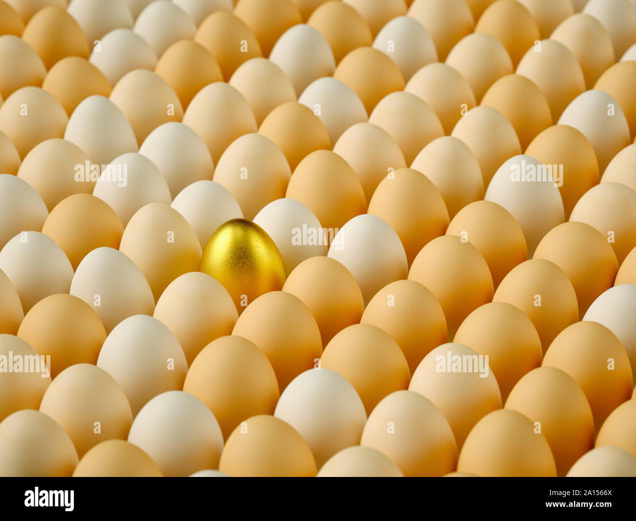 Golden egg amongst a large group of eggs Stock Photo