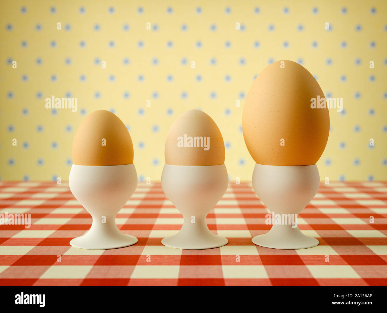 Row of eggs in egg cups with one larger Stock Photo