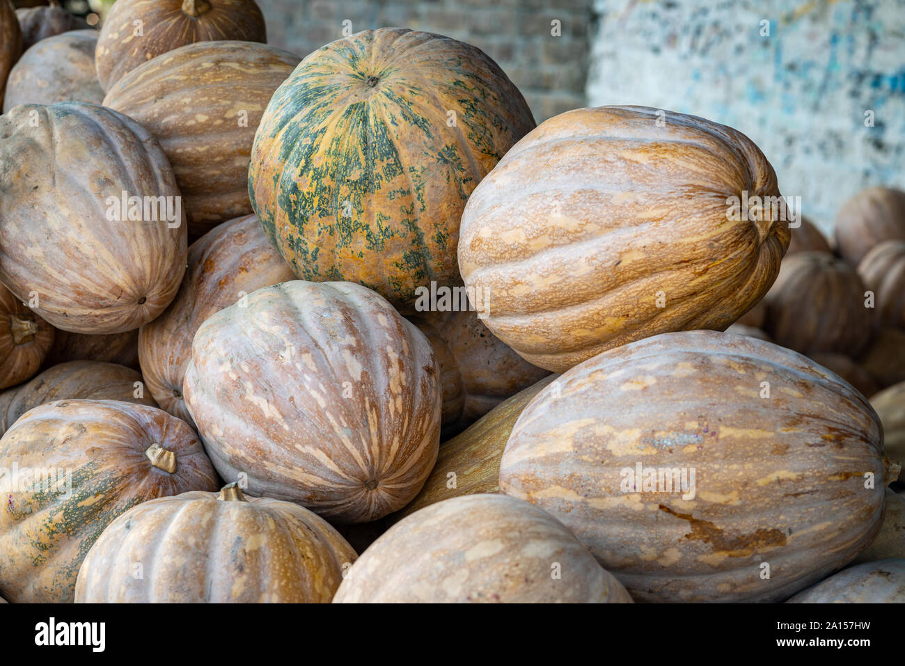 Close up of Pumpkins Stock Photo
