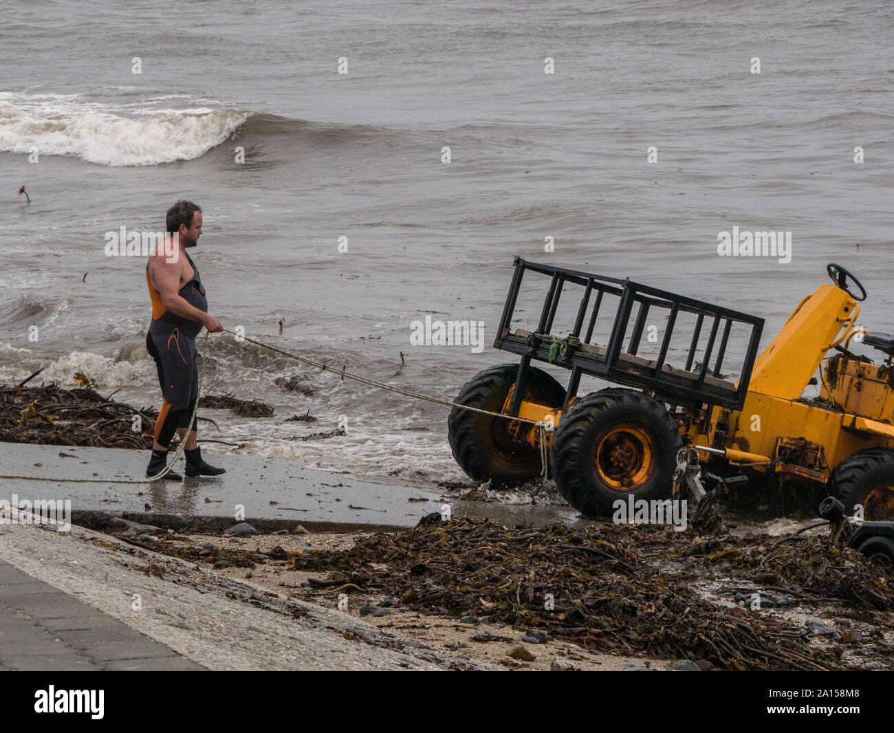 A fat man in a wetsuit dragging a truck out of the sea in Marazion, Cornwall Stock Photo